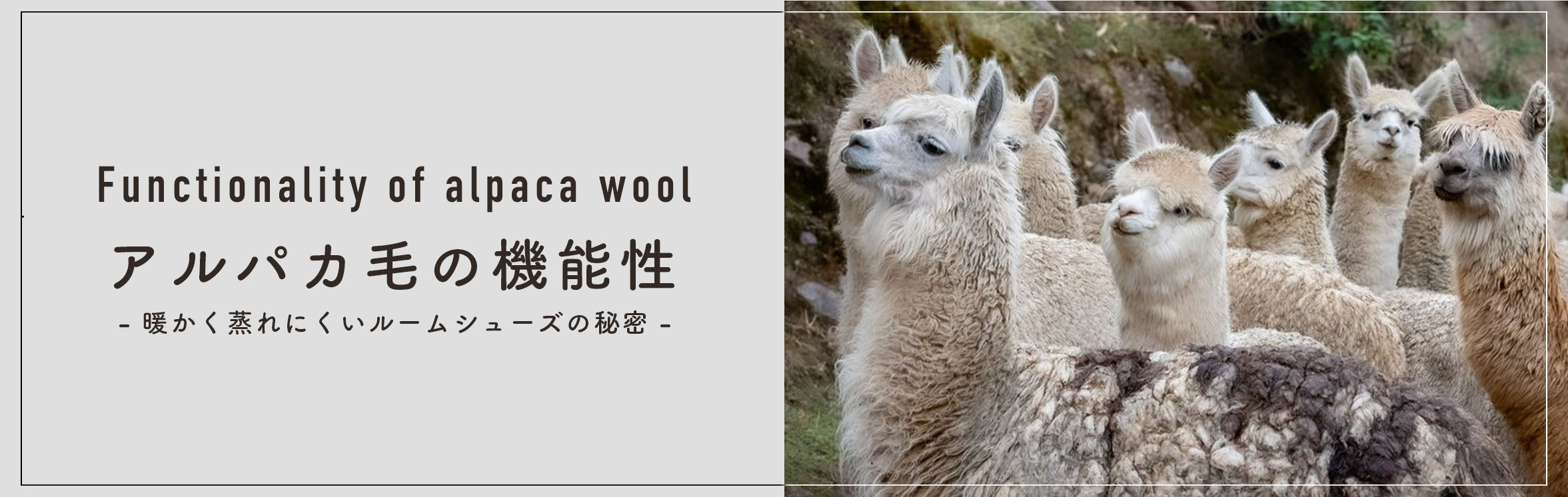 パソコン用の画像