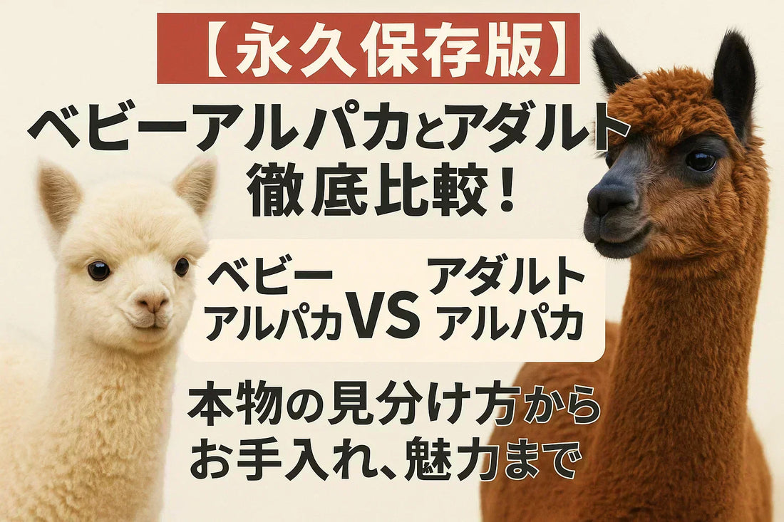 【永久保存版】ベビーアルパカとアダルトアルパカ徹底比較！本物の見分け方からお手入れ、魅力まで